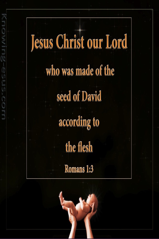 Romans 1:3 Made of the Seed of David (black)